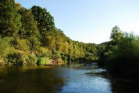 /album/photo-gallery-strandzha/images1-jpg/