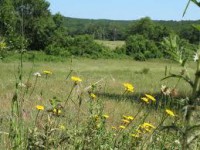 /album/photo-gallery-strandzha/images-jpg/