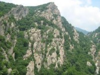 /album/galjerija-stara-planina/imagescaw0uk6f-jpg/