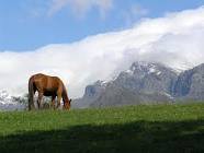 /album/galjerija-stara-planina/imagescaod1r7r-jpg/