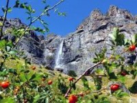 /album/galjerija-stara-planina/imagesca3pwnja-jpg/
