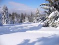 /album/fotogaljerija-vitosha-/imagescasockxp-jpg/