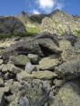 /album/fotogaljerija-vitosha-/imagescagaigq6-jpg/